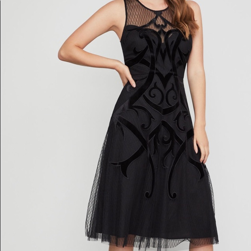 BCBGMaxAzria Velvet Applique Dress